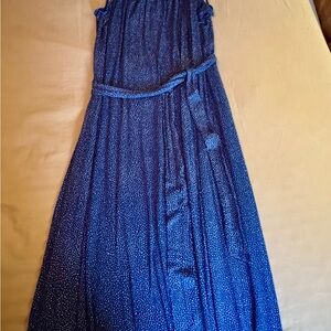 GAP Blue Maxi Dress
